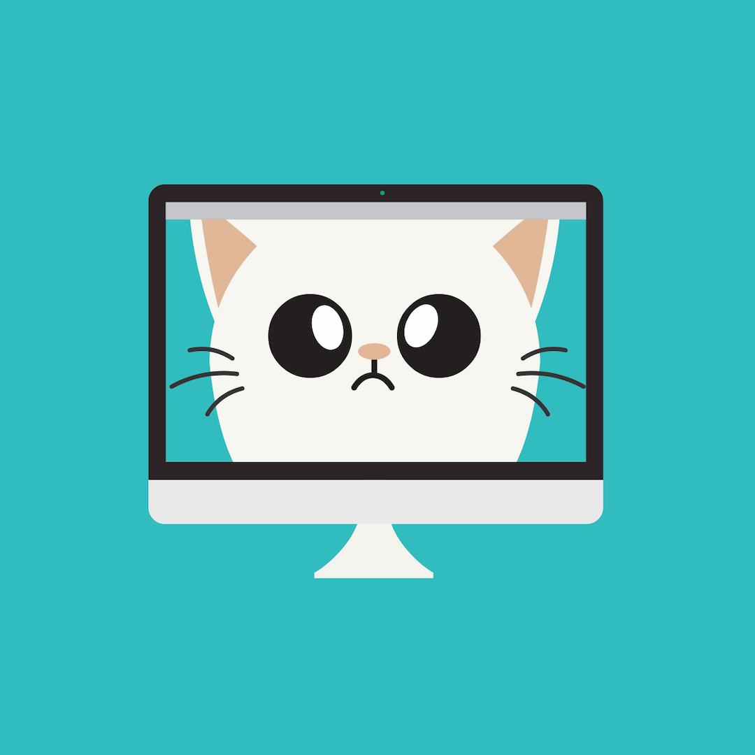 Zoom Cat Filter — Ellii (formerly ESL Library)