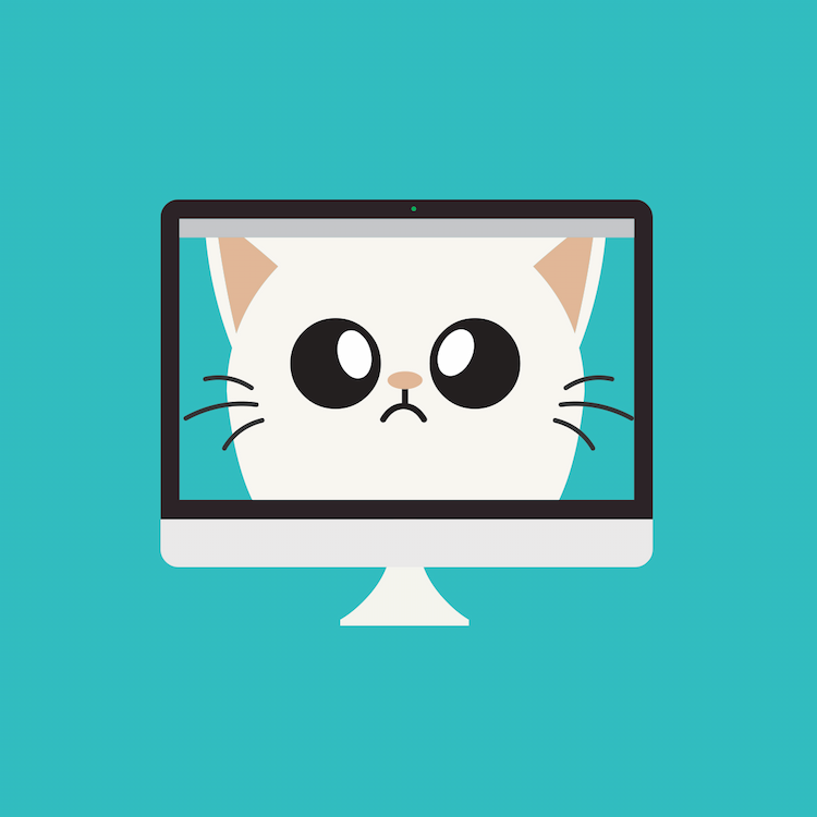 Zoom Cat Filter — Ellii (formerly ESL Library)